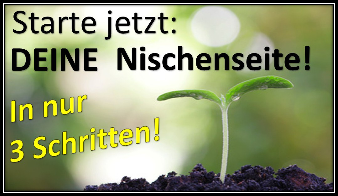 Nischenseite erstellen Webhoster